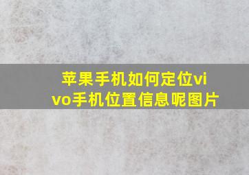 苹果手机如何定位vivo手机位置信息呢图片