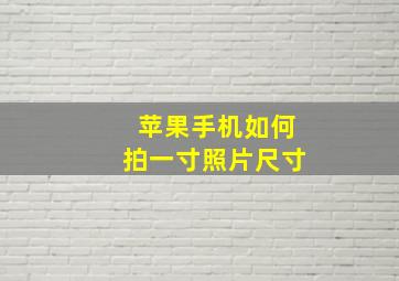 苹果手机如何拍一寸照片尺寸