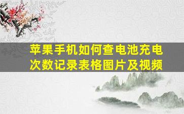 苹果手机如何查电池充电次数记录表格图片及视频