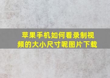 苹果手机如何看录制视频的大小尺寸呢图片下载