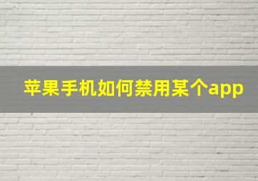 苹果手机如何禁用某个app