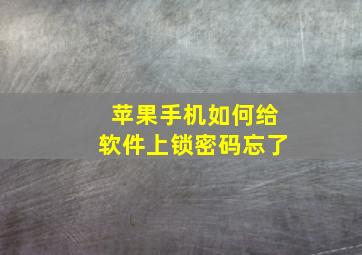 苹果手机如何给软件上锁密码忘了