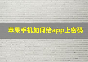 苹果手机如何给app上密码