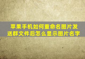 苹果手机如何重命名图片发送群文件后怎么显示图片名字