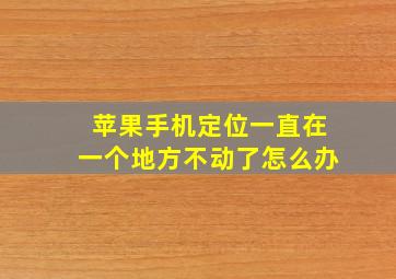 苹果手机定位一直在一个地方不动了怎么办