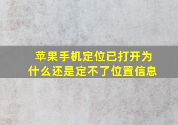 苹果手机定位已打开为什么还是定不了位置信息