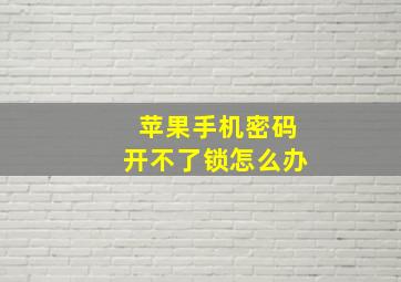 苹果手机密码开不了锁怎么办