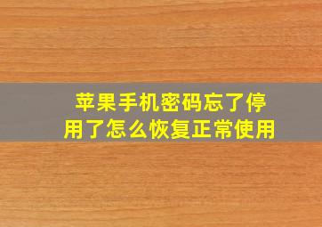 苹果手机密码忘了停用了怎么恢复正常使用