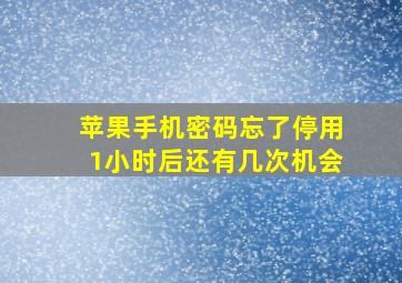 苹果手机密码忘了停用1小时后还有几次机会