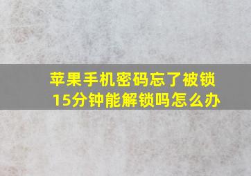 苹果手机密码忘了被锁15分钟能解锁吗怎么办