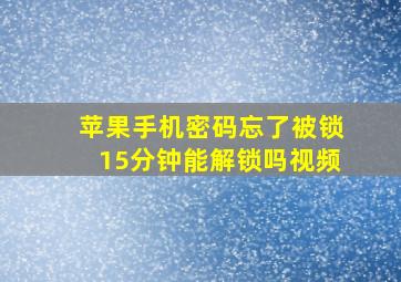 苹果手机密码忘了被锁15分钟能解锁吗视频