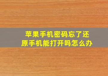 苹果手机密码忘了还原手机能打开吗怎么办