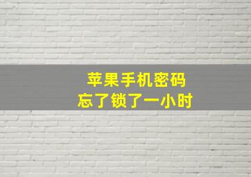 苹果手机密码忘了锁了一小时