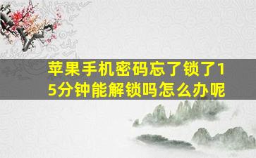 苹果手机密码忘了锁了15分钟能解锁吗怎么办呢