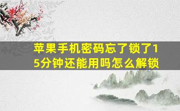 苹果手机密码忘了锁了15分钟还能用吗怎么解锁