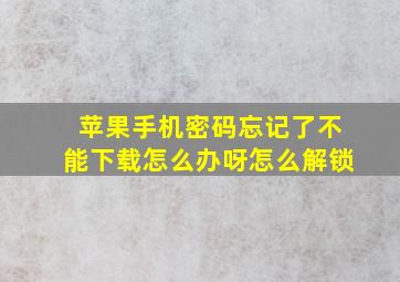 苹果手机密码忘记了不能下载怎么办呀怎么解锁