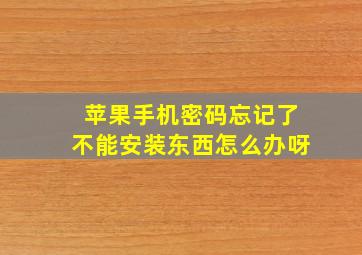 苹果手机密码忘记了不能安装东西怎么办呀