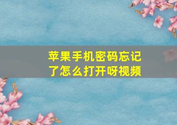 苹果手机密码忘记了怎么打开呀视频