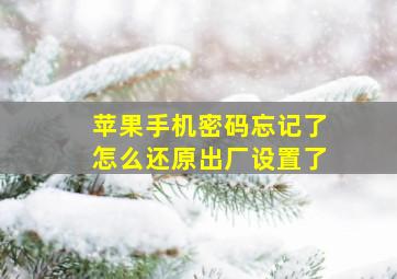 苹果手机密码忘记了怎么还原出厂设置了