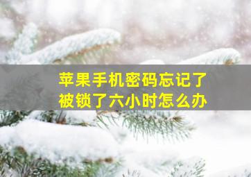 苹果手机密码忘记了被锁了六小时怎么办