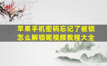 苹果手机密码忘记了被锁怎么解锁呢视频教程大全