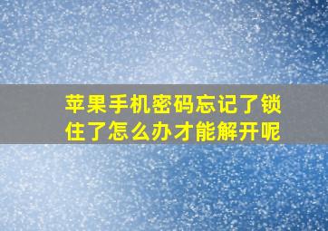 苹果手机密码忘记了锁住了怎么办才能解开呢