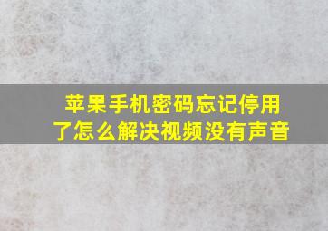 苹果手机密码忘记停用了怎么解决视频没有声音