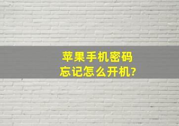 苹果手机密码忘记怎么开机?