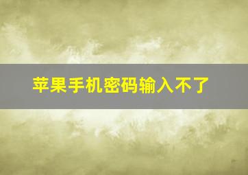 苹果手机密码输入不了