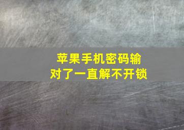 苹果手机密码输对了一直解不开锁