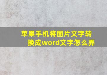 苹果手机将图片文字转换成word文字怎么弄