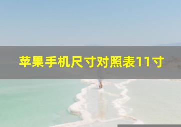 苹果手机尺寸对照表11寸