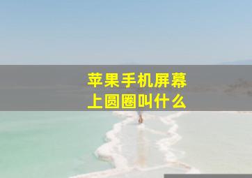 苹果手机屏幕上圆圈叫什么