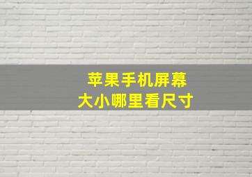 苹果手机屏幕大小哪里看尺寸