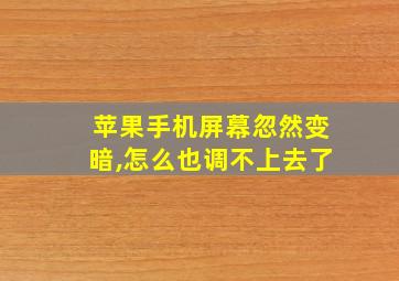 苹果手机屏幕忽然变暗,怎么也调不上去了