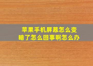 苹果手机屏幕怎么变暗了怎么回事啊怎么办