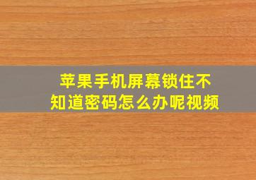 苹果手机屏幕锁住不知道密码怎么办呢视频