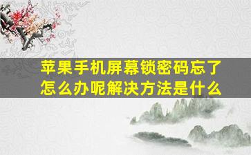 苹果手机屏幕锁密码忘了怎么办呢解决方法是什么