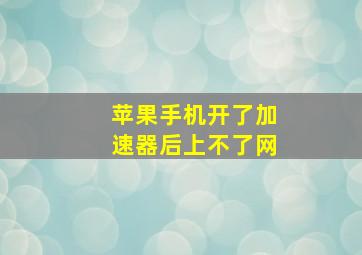 苹果手机开了加速器后上不了网