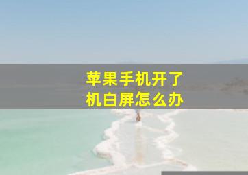 苹果手机开了机白屏怎么办