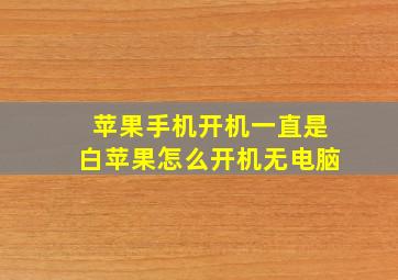 苹果手机开机一直是白苹果怎么开机无电脑