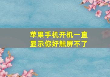 苹果手机开机一直显示你好触屏不了