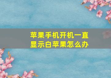 苹果手机开机一直显示白苹果怎么办