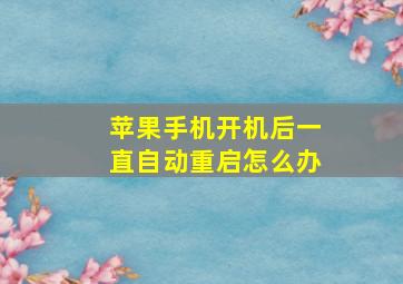 苹果手机开机后一直自动重启怎么办