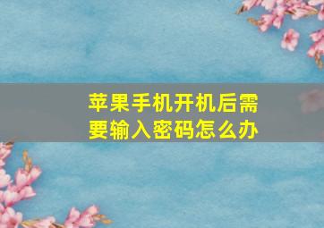 苹果手机开机后需要输入密码怎么办