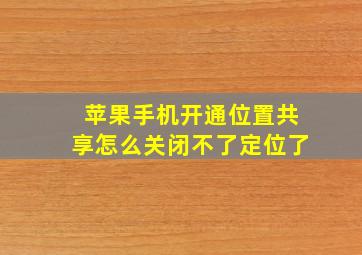 苹果手机开通位置共享怎么关闭不了定位了