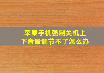 苹果手机强制关机上下音量调节不了怎么办