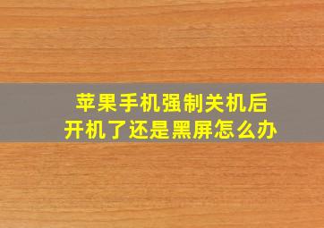 苹果手机强制关机后开机了还是黑屏怎么办