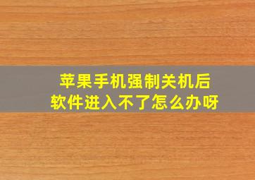 苹果手机强制关机后软件进入不了怎么办呀