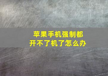 苹果手机强制都开不了机了怎么办